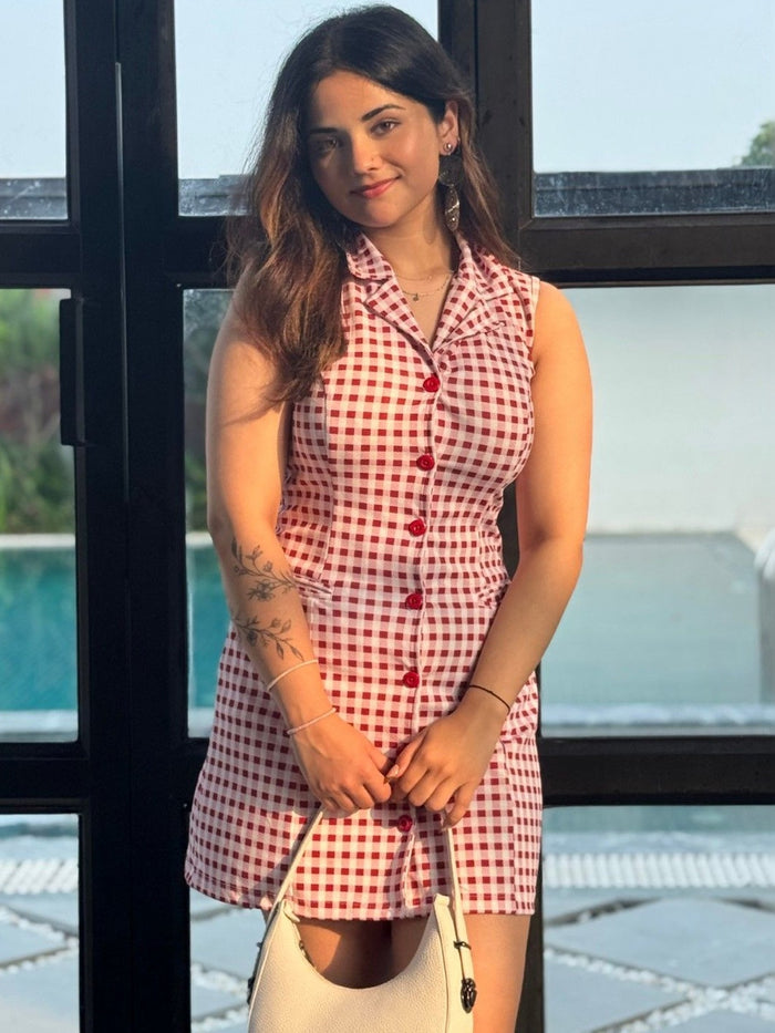 Red Gingham Sleeveless Button-Front Mini Dress